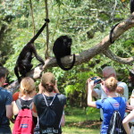 Students at the community Baboon Sanctuary
